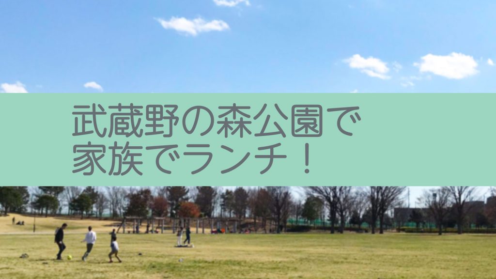 【おでかけ】武蔵野の森公園でランチ 飛行機の離発着もみれる！【かわうそ】